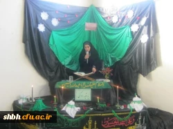 برگزاری مراسم عزاداری سروروسالار شهیدان