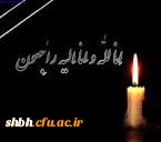 کل من علیها فان و یبقی وجه ربک ذو الجلال و الاکرام