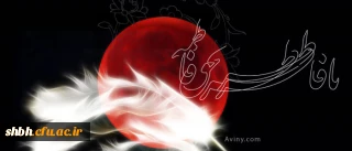 فاطمه(س)، رایحه بهشتی است که مشام کفر هرگز او را نخواهد شنید.
نیـمـه شــب، تـابـــوت را بـرداشـتـنــد
بـــار غــــم بـر شــانـــه هـا بگذاشتنــد
هـفـت تــن، دنـبــال یـک پیکــر روان
وز پــی آن هـفــت تـن، هفـت آسمــان