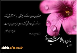 شهادت امام جواد علیه السلام

سلام به اشک! سلام بر غم! سلام بر غربت تو و بر تمام تنهایی ات، یا جواد الائمه!