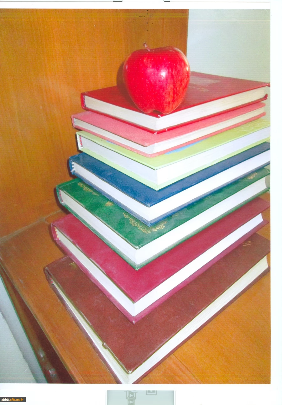 نفرات برتر مسابقه کاریکاتور و عکس در هفته کتابخوانی