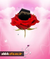 «ای فاطمه بنت اسد! آن نوزاد را «علی » نام گذار زیرا او والا و برتر است و خدای علی اعلی می فرماید: من نامش را از نام خودم برگرفتم و به ادب خود او را ادب کردم و بر دشواری های علمم آگاهش ساختم . اوست که بت ها را در خانه ام (کعبه) خواهد شکست و اوست که بر فراز