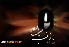 زینب آخر این شبِ تاریک را سر می کند / یاد از یاس و شقایق، یا صنوبر می کند
این وداعِ آخر و جان دادنِ بانوی عشق / عاقبت وصل حسینش را میّسر می کند