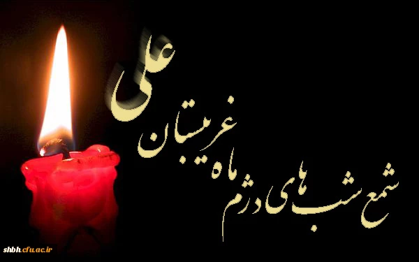 ﺍﻣﯿﺮﺍﻟﻤﻮﻣﻨﯿﻦ ‏(ﻉ‏) ﺍﻣﺸﺐ ﺑﻪ ﺟﻨﺖ ﻣﯽ ﻧﻬﺪ ﭘﺎ ﺭﺍ
ﭘﯿﻤﺒﺮ ﺁﻭﺭﺩ ﺍﺯ ﺑﻬﺮ ﺍﺳﺘﻘﺒﺎﻝ ﺯﻫﺮﺍ ﺭﺍ