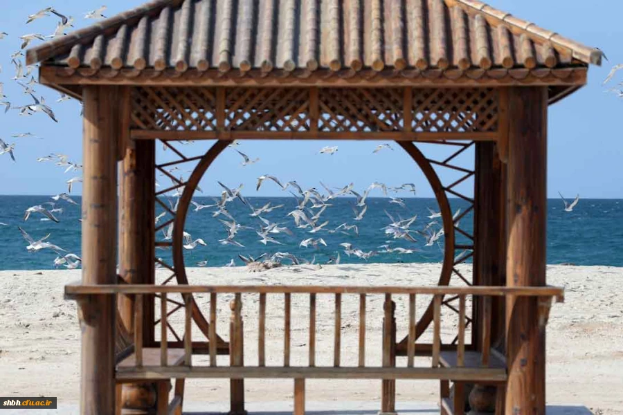 مسابقه ی کتابخوانی تا ساحل آرامش ویژه زوج های جوان دانشجویی