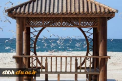 مسابقه ی کتابخوانی تا ساحل آرامش ویژه زوج های جوان دانشجویی