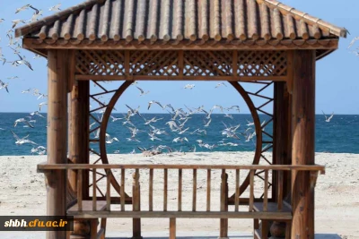 مسابقه ی کتابخوانی تا ساحل آرامش ویژه زوج های جوان دانشجویی