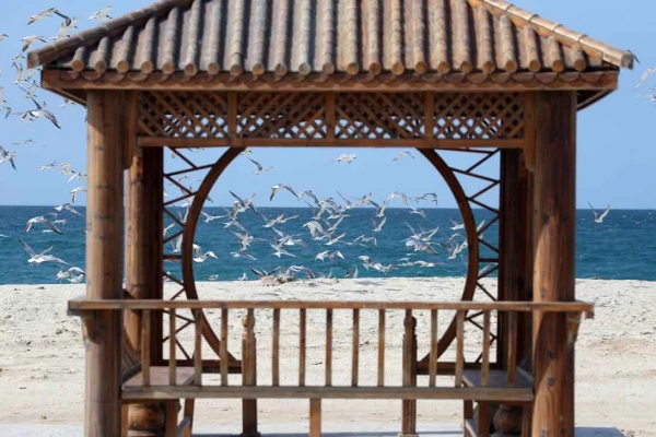 مسابقه ی کتابخوانی تا ساحل آرامش ویژه زوج های جوان دانشجویی