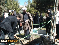 کاشت نهال درهفته درختکاری