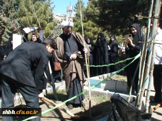 کاشت نهال درهفته درختکاری