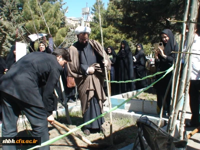 کاشت نهال درهفته درختکاری