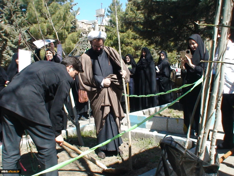 کاشت نهال درهفته درختکاری