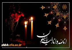 بازگشت همه به سوی خداست