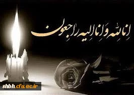 پیام تسلیت به جناب آقای دکتر کریمی نیا