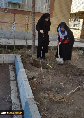 کانون سبک زندگی اسلامی و کانون هلال احمر به مناسبت هفته منابع طبیعی برگزار کردند