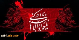 شهادت غریبانه ی امام مسموم، جواد مظلوم(ع) بر شما تسلیت باد