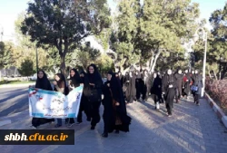 همایش پیاده روی