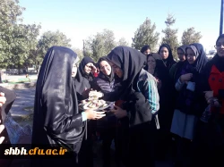 همایش پیاده روی