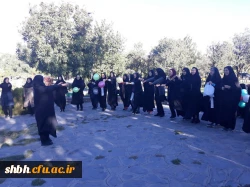 همایش پیاده روی