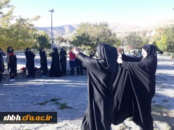 همایش پیاده روی