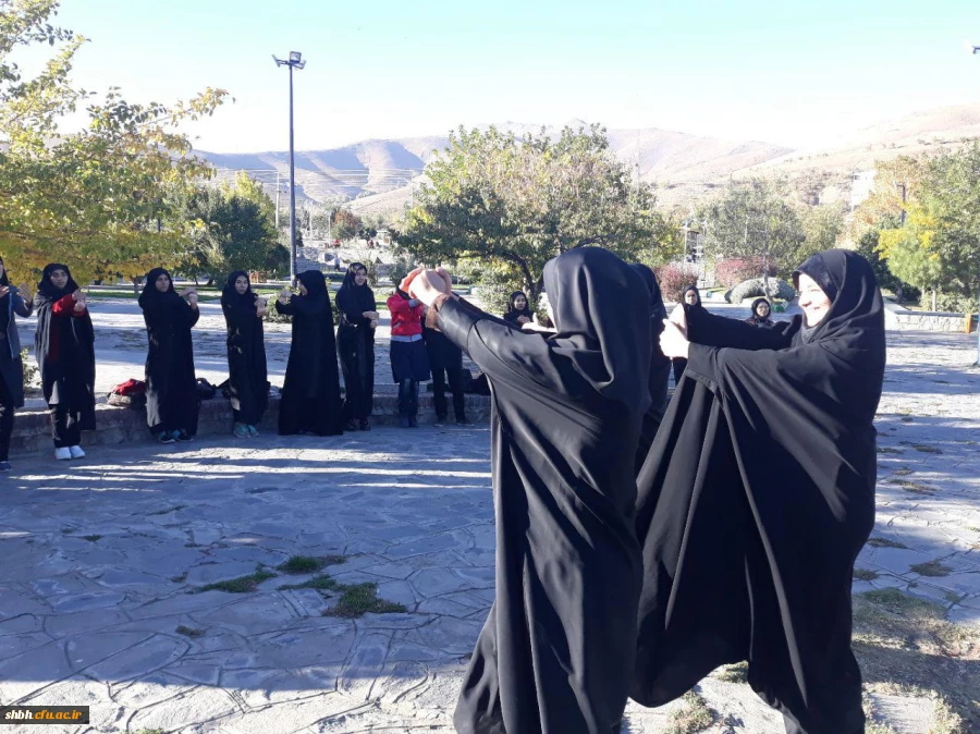 همایش پیاده روی