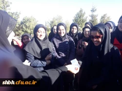 همایش پیاده روی